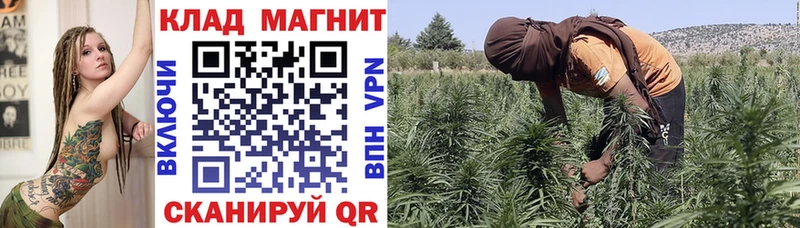 Где купить наркотики Королёв ГАШИШ  Кокаин  APVP  Канабис  МЕФ 