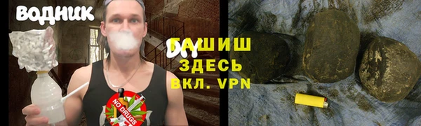 дмт Бородино