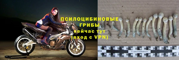 дмт Бородино