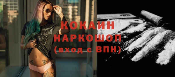 дмт Бородино