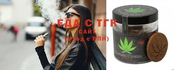дмт Бородино