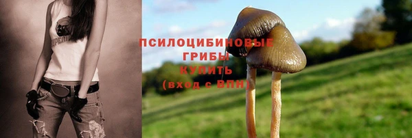 дмт Бородино