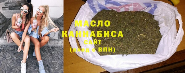дмт Бородино