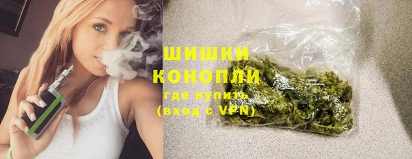 дмт Бородино