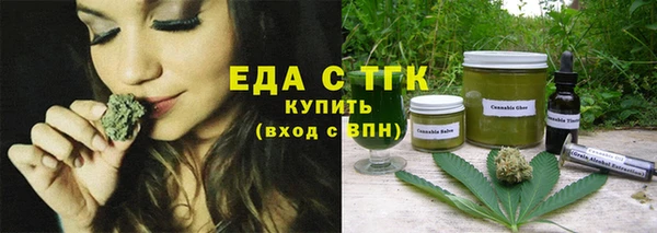 дмт Бородино