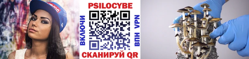 как найти наркотики  Королёв  Галлюциногенные грибы Cubensis 